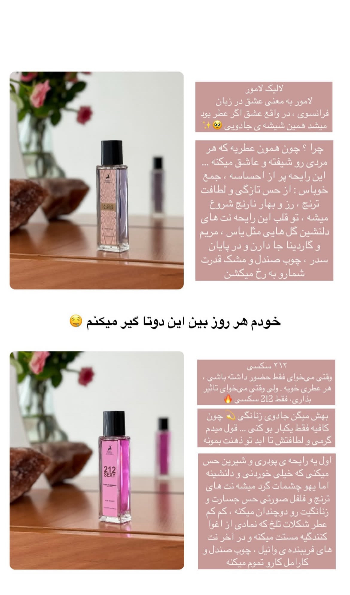 مجموع عطرهای اماراتی الحمرا