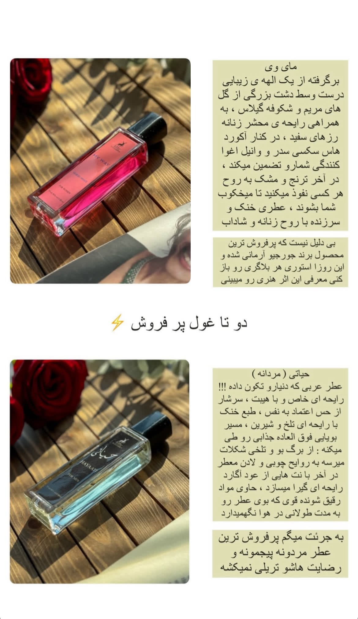 مجموع عطرهای اماراتی الحمرا
