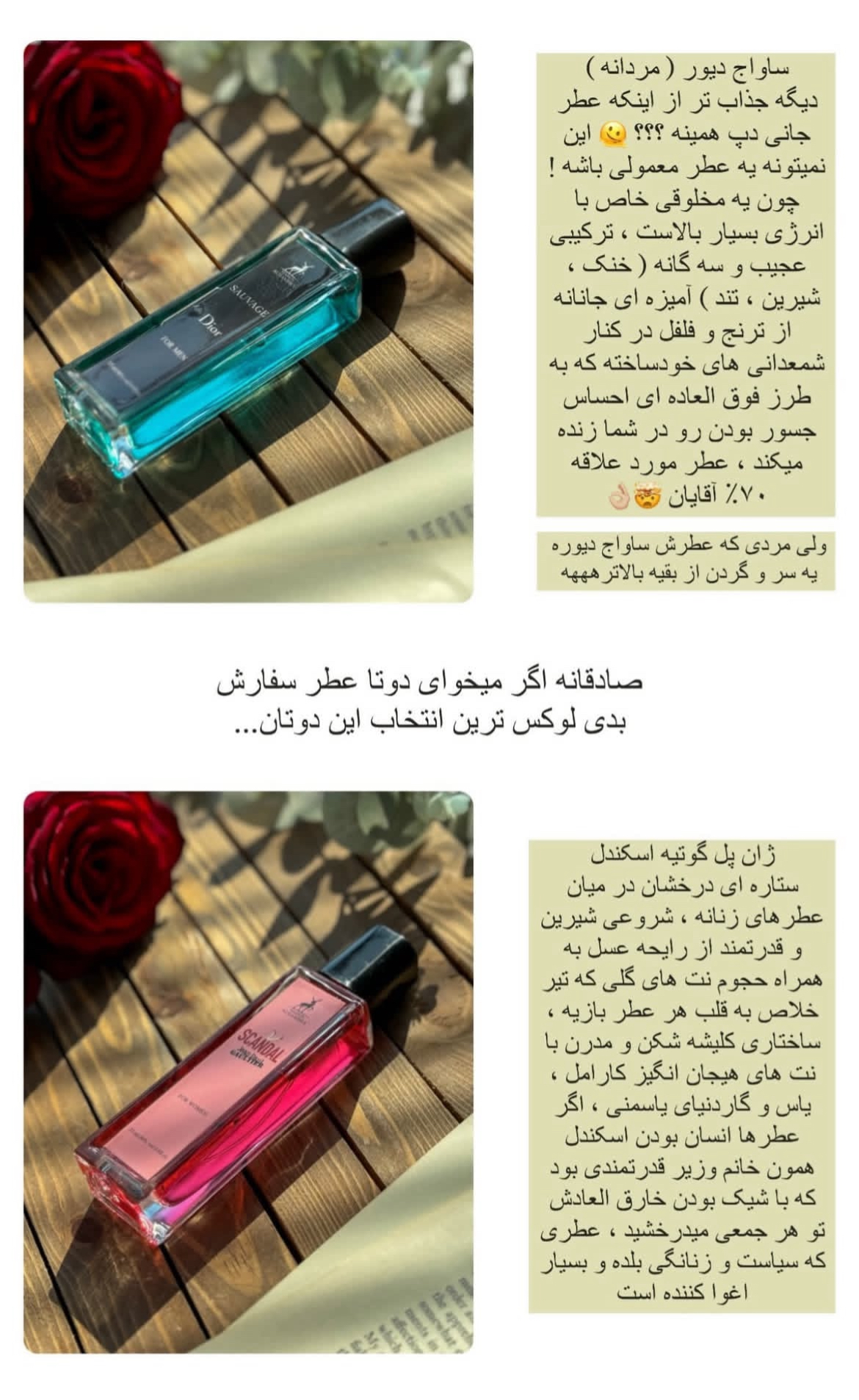 مجموع عطرهای اماراتی الحمرا